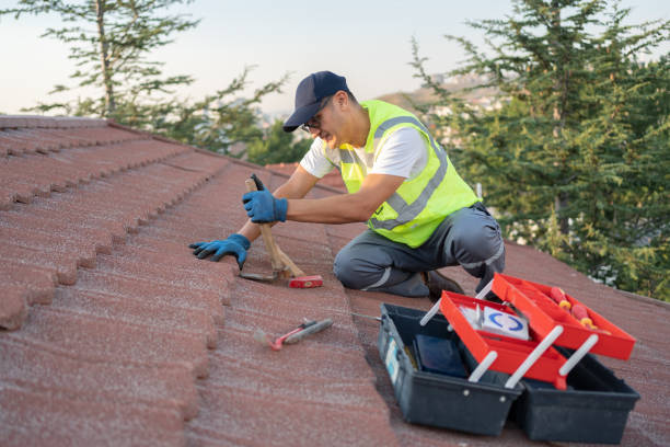 Best Gutter Installation and Roofing  in Summit View, WA